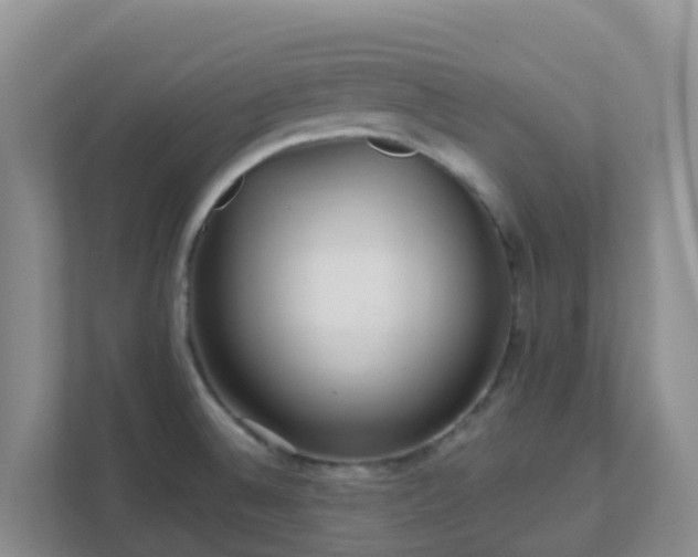 X0000111641524200907241100