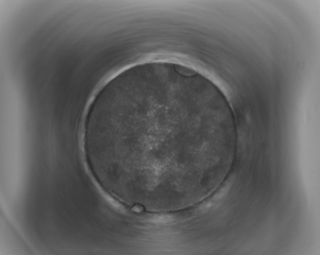 X0000111641525200907241100