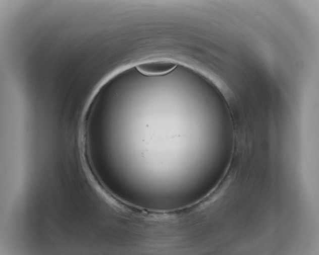 X0000111641526200907241100