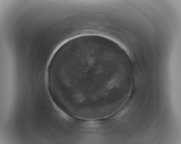 X0000111641527200907241100