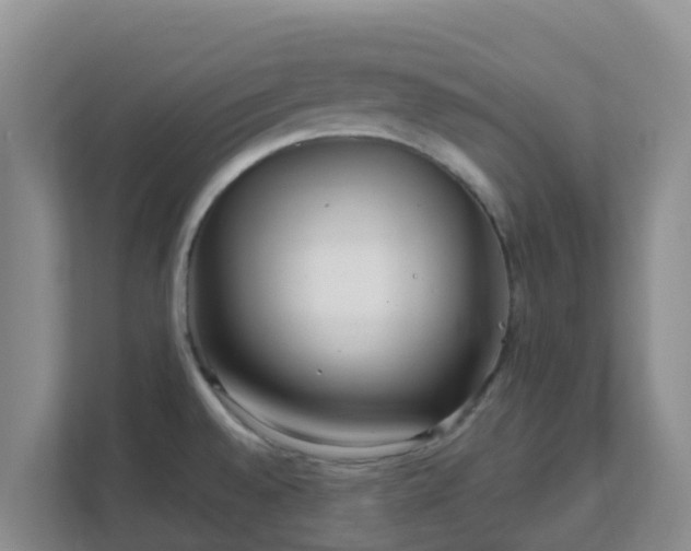 X0000111641528200907241100