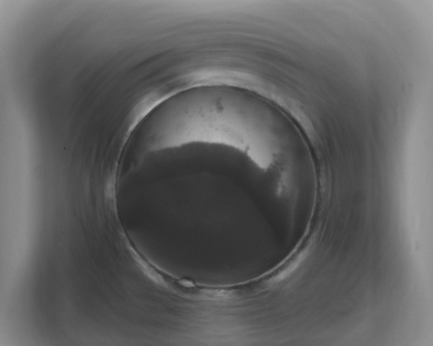 X0000111641529200907241100