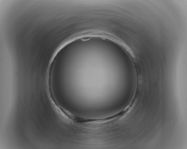 X0000111641530200907241100