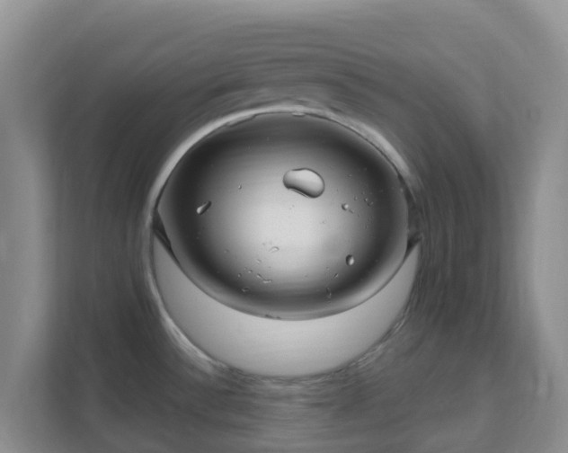 X0000111641532200907241100