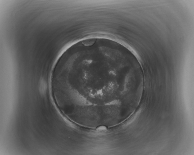 X0000111641533200907241100