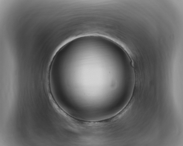 X0000111641534200907241100