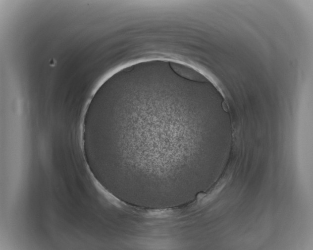 X0000111641535200907241100