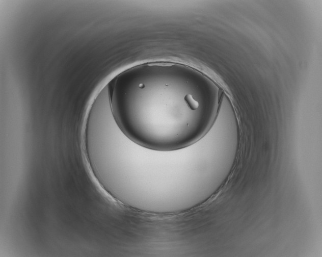 X0000111641536200907241100