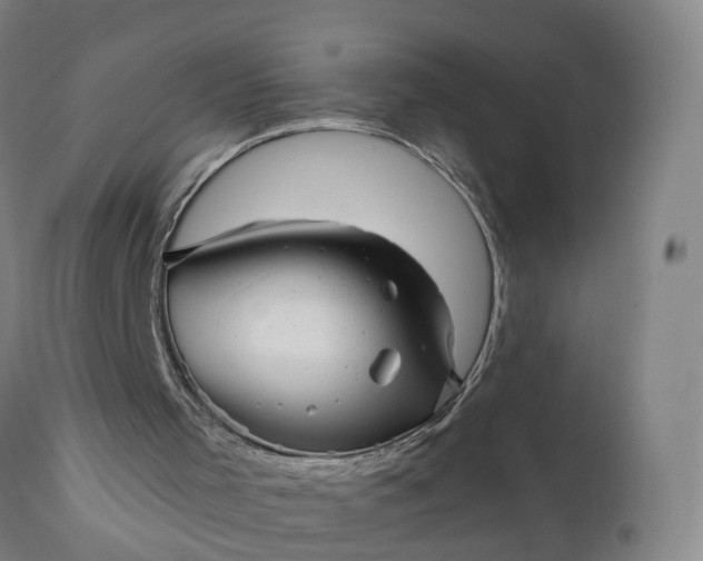 X0000111640001200907311304