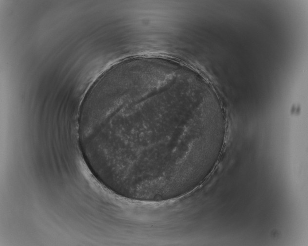 X0000111640002200907311304