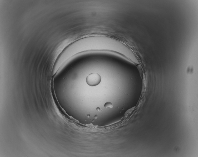 X0000111640003200907311304