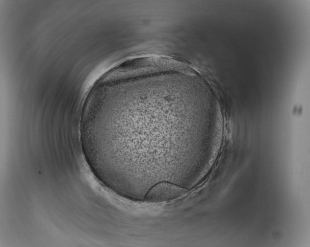 X0000111640004200907311304