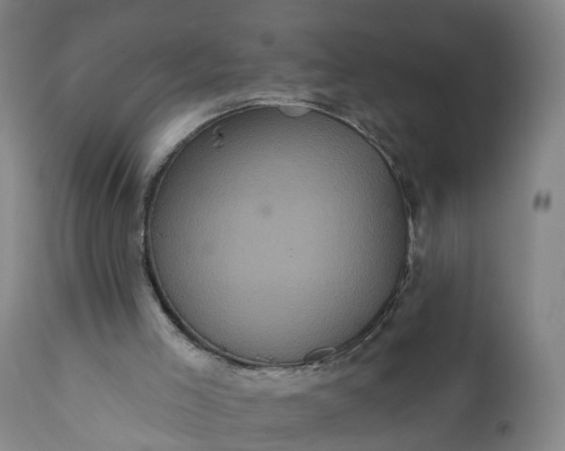 X0000111640005200907311304