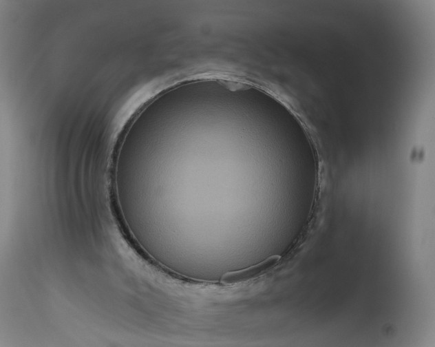 X0000111640007200907311304