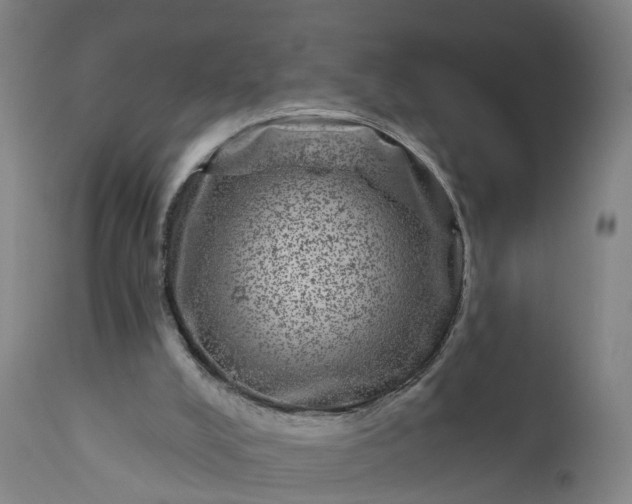 X0000111640008200907311304