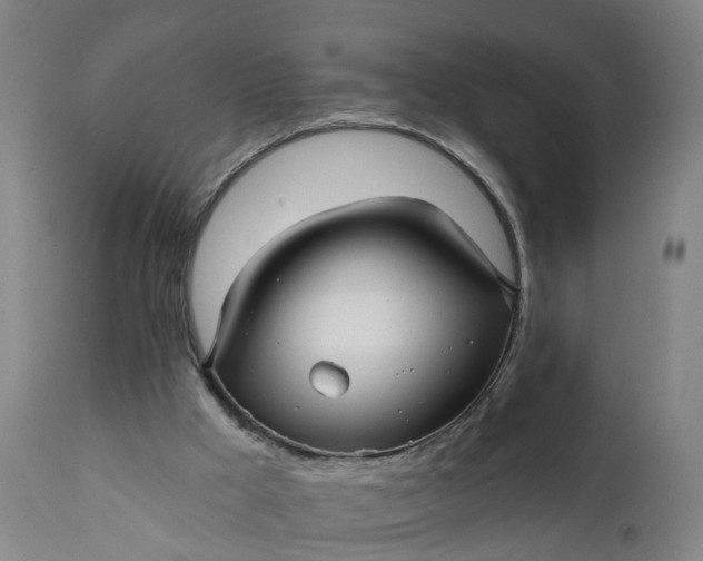 X0000111640009200907311304