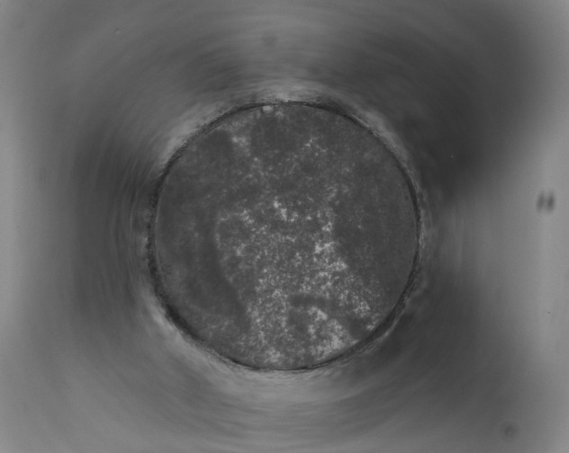 X0000111640010200907311304