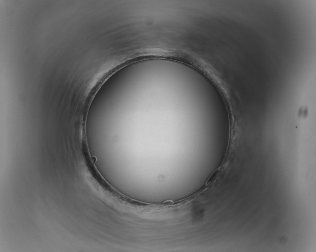 X0000111640011200907311304