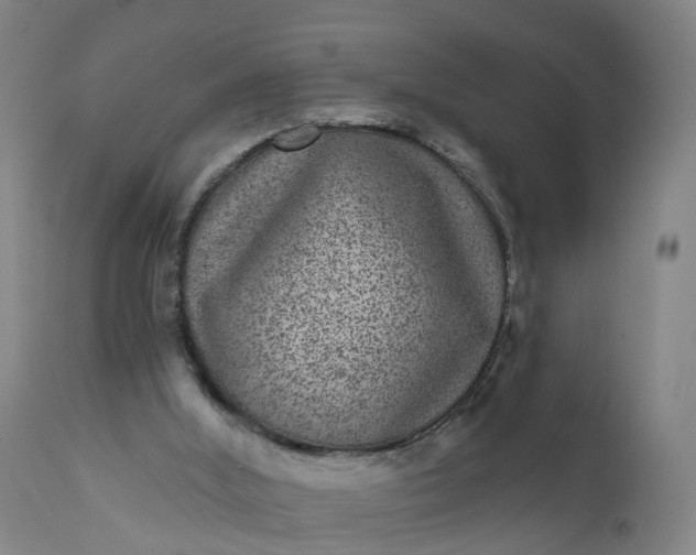 X0000111640012200907311304