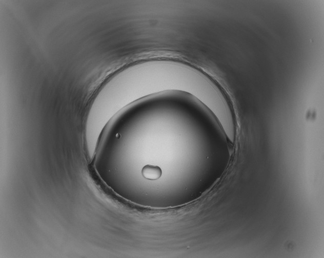 X0000111640013200907311304