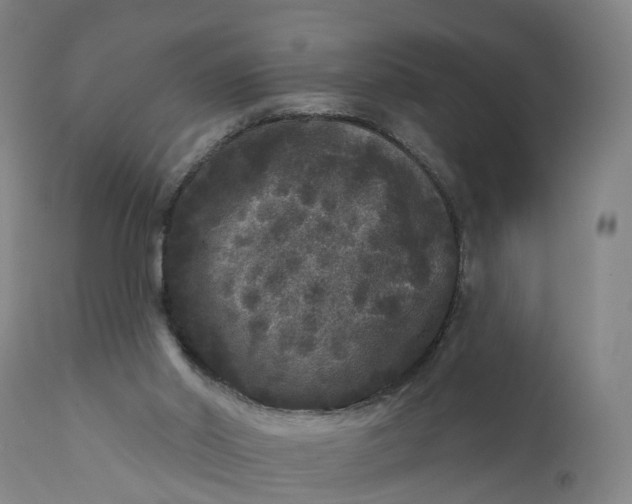 X0000111640014200907311304