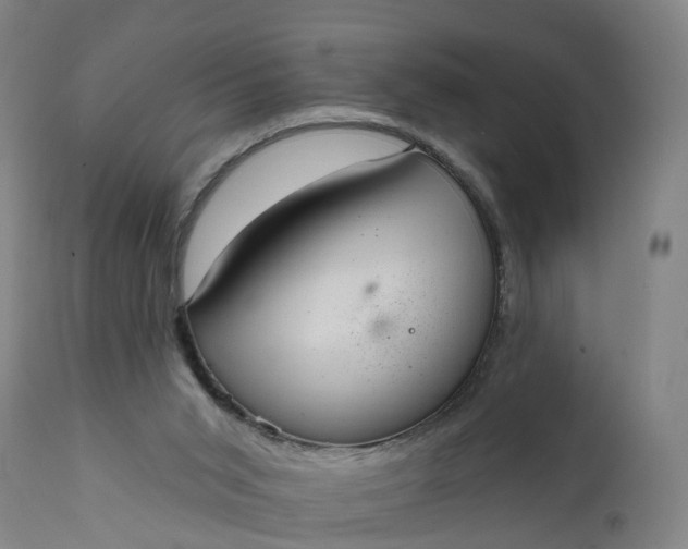 X0000111640015200907311304