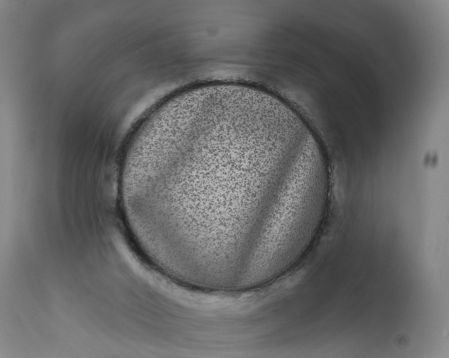 X0000111640016200907311304