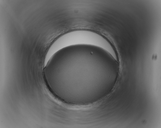 X0000111640017200907311304