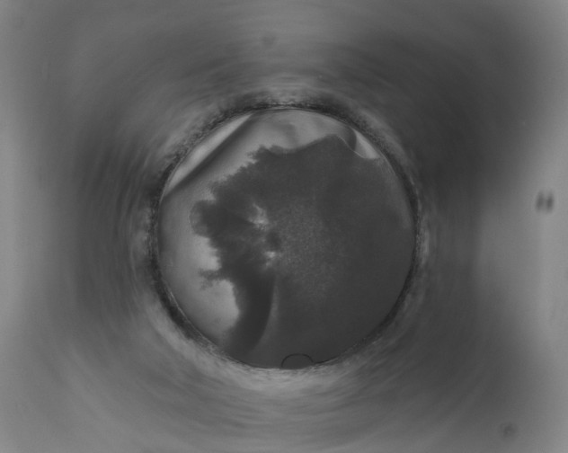 X0000111640018200907311304