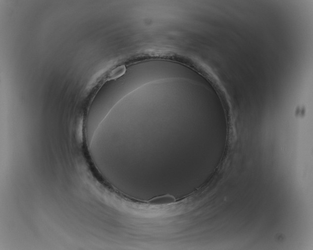 X0000111640019200907311304