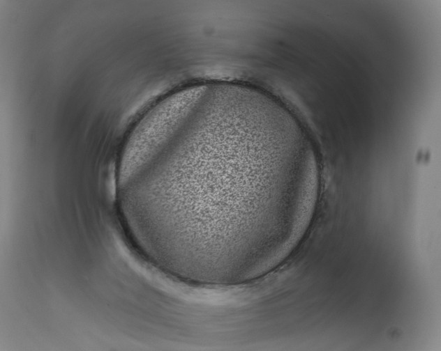 X0000111640020200907311304