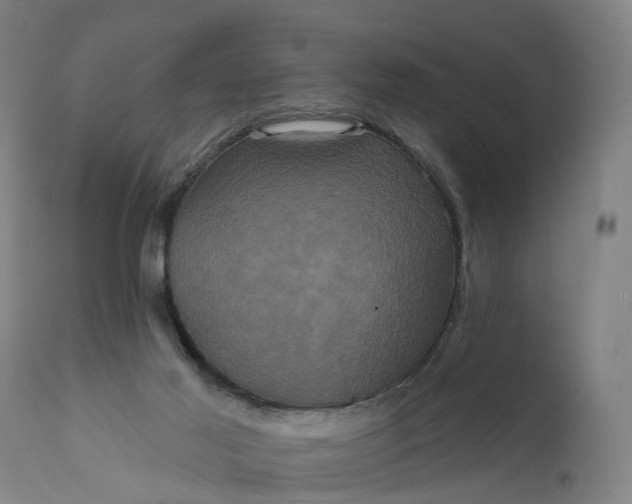 X0000111640021200907311304