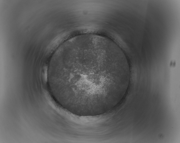 X0000111640022200907311304