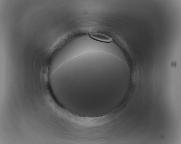 X0000111640023200907311304