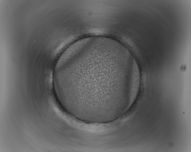 X0000111640024200907311304