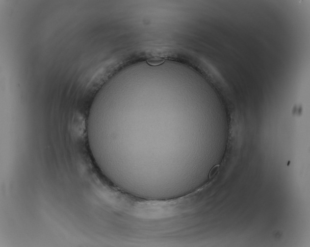 X0000111640025200907311304