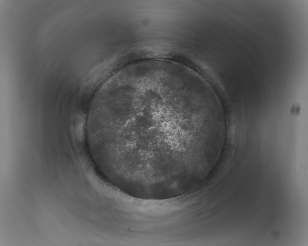 X0000111640026200907311304