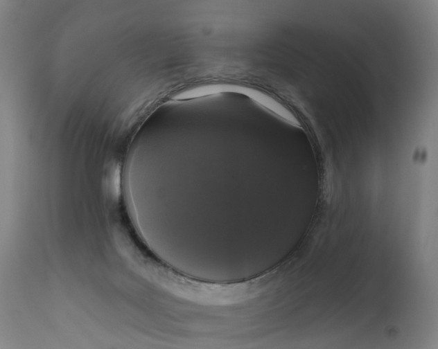 X0000111640027200907311304