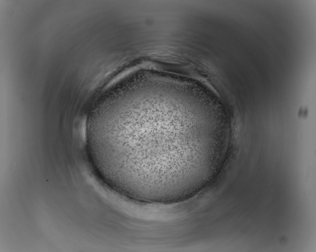 X0000111640028200907311304