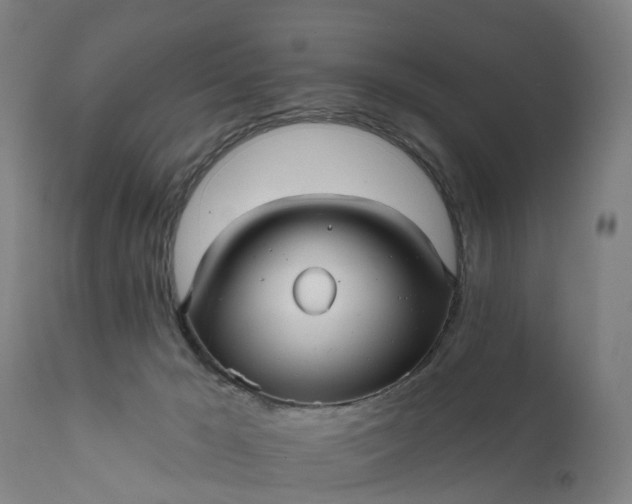 X0000111640029200907311303