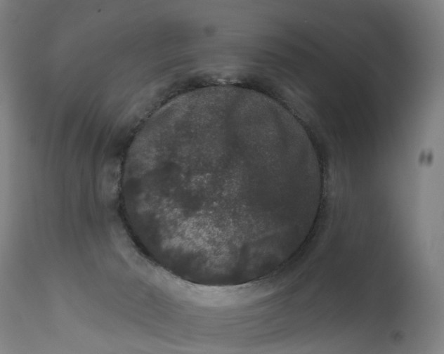 X0000111640030200907311303