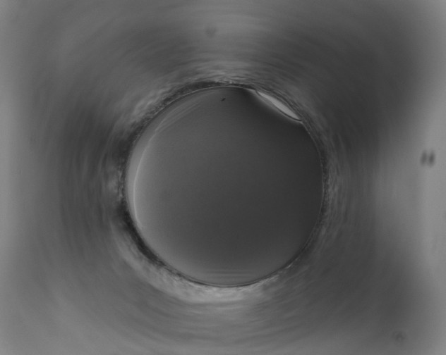 X0000111640031200907311303