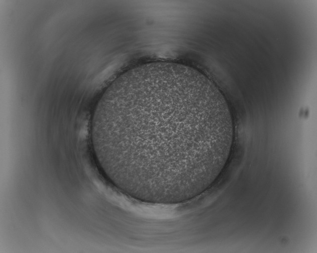 X0000111640032200907311303