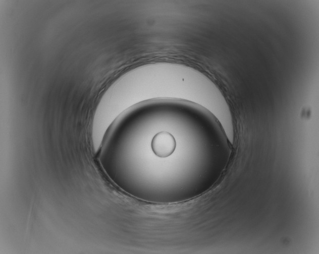 X0000111640033200907311303