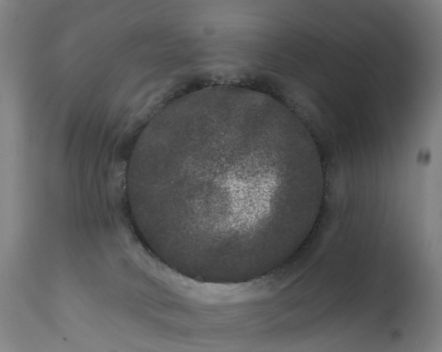 X0000111640034200907311303