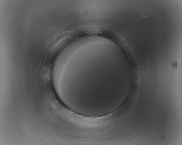 X0000111640035200907311303