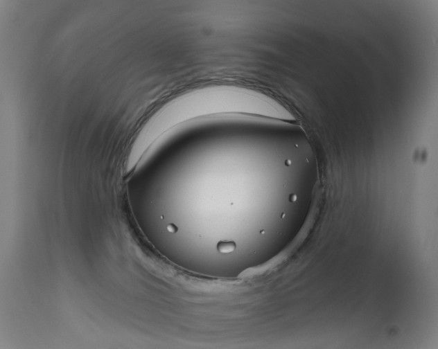 X0000111640036200907311303