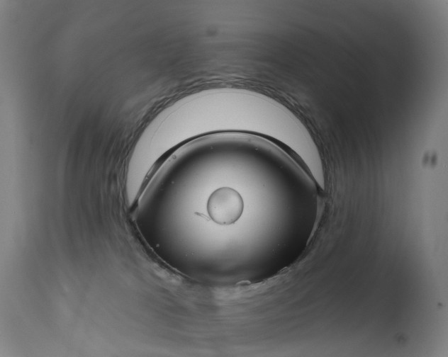 X0000111640037200907311303