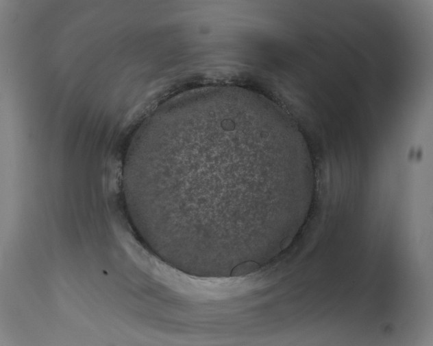 X0000111640038200907311303