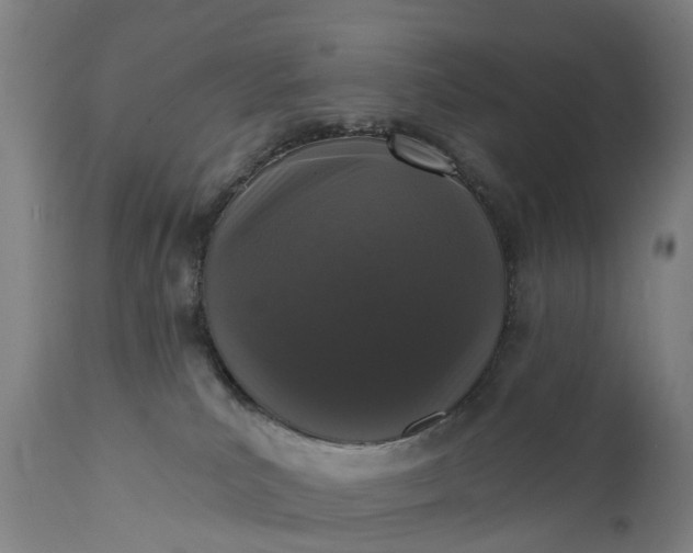 X0000111640039200907311303